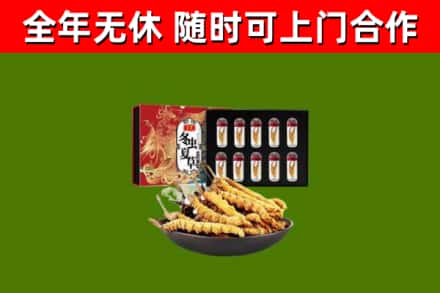 延庆回收冬虫夏草价格